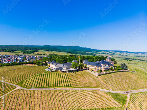 Germany, Hesse, Rheingau, Geisenheim, vine yards and Castle Johannisberg photo