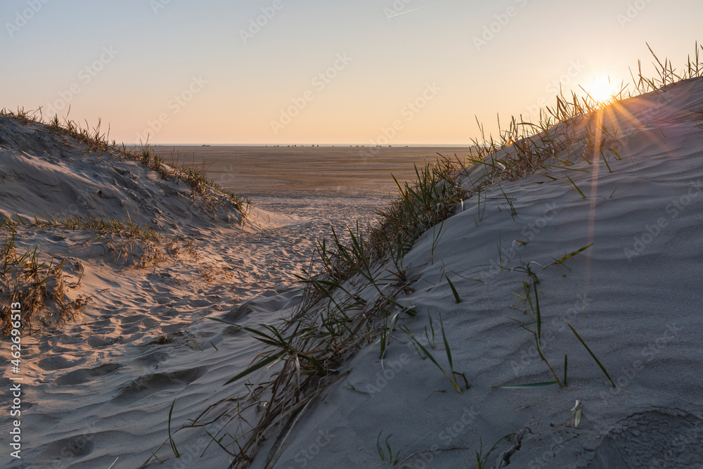 Denmark, Romo, Coastal sand dunes at sunset Denmark, Romo, Coastal sand dunes at sunset
