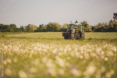 Germany, Brandenburg, Meadow with marguerite, tractor