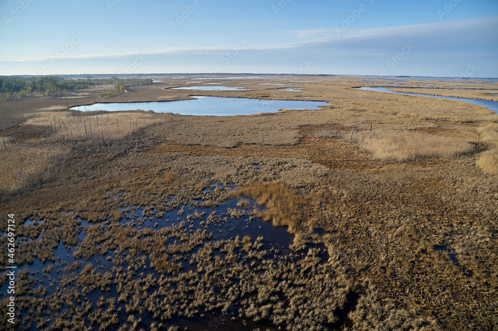 Foto de USA, Maryland, Cambridge, Blackwater National Wildlife Refuge
