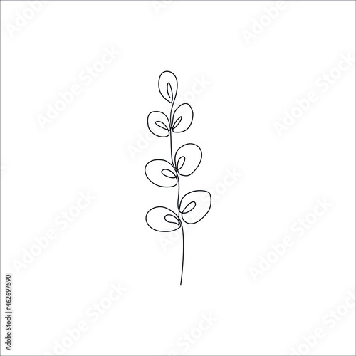 Eucaliptus branch drawn by one line. Floral sketch. Continuous line drawing minimal art. Vector illustration. © Nataliya