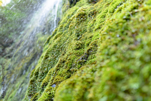 Dog Stream Waterfall near Hanmer Springs, New Zealand photo