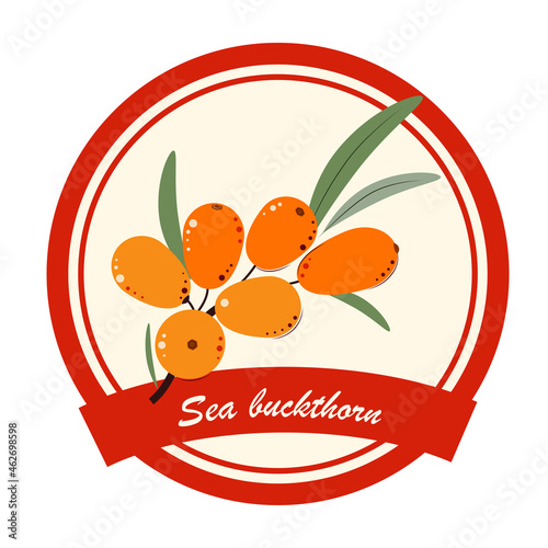 Sea-buckthorn. Sea buckthorn Jam, Marmalade, dessert and ice cream Label. Flat style. Vector Illustration.