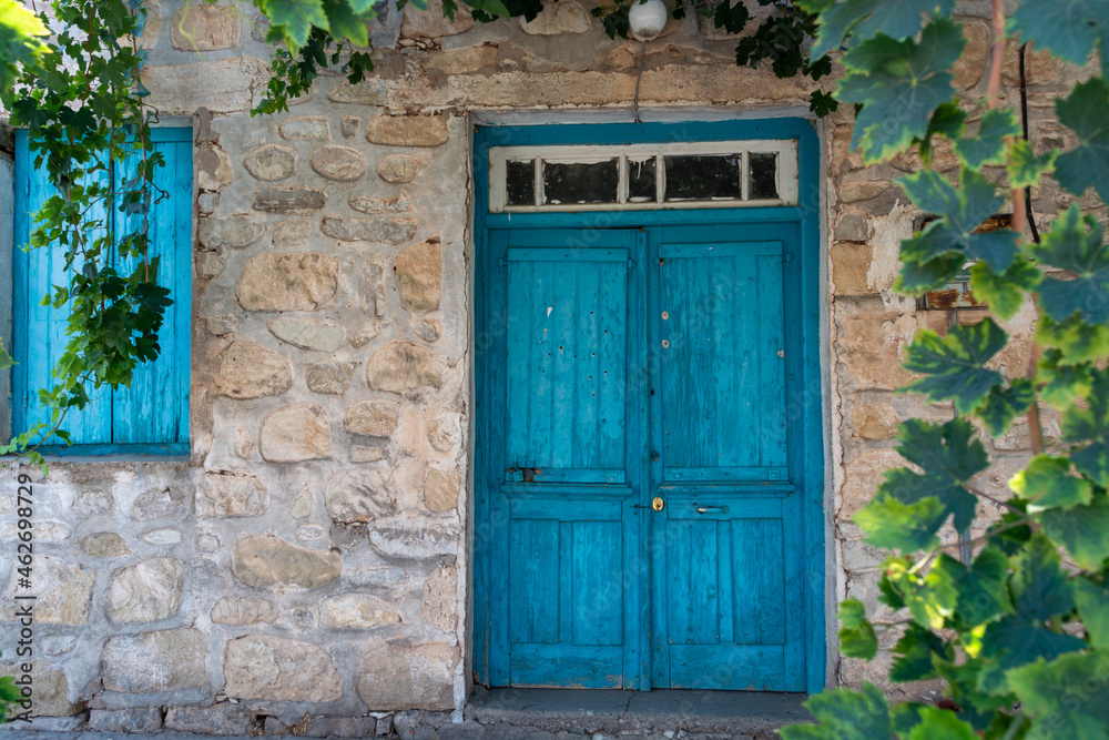 Old blue wooden door in small cypriot village and grape plant