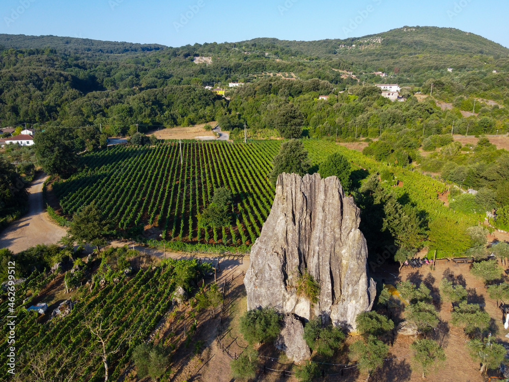 Aerial view on green vineyards in Campo Soriano mountains near Terracina, Lazio, wine making in Italy