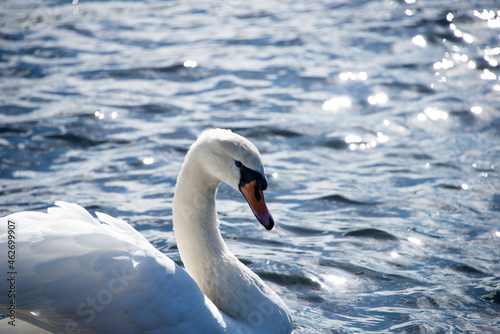 She's looking at you 