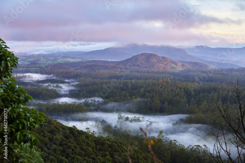 Sunrise at border of Horton Plains National Park, Nuwara Eliya, Sri Lanka photo