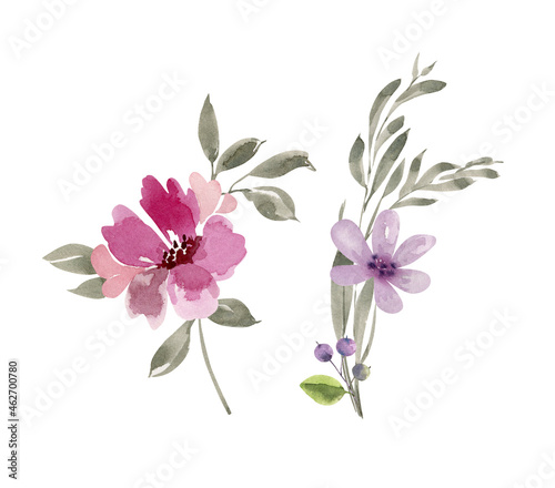 set of delicate watercolor purple and pink flowers, hand painted