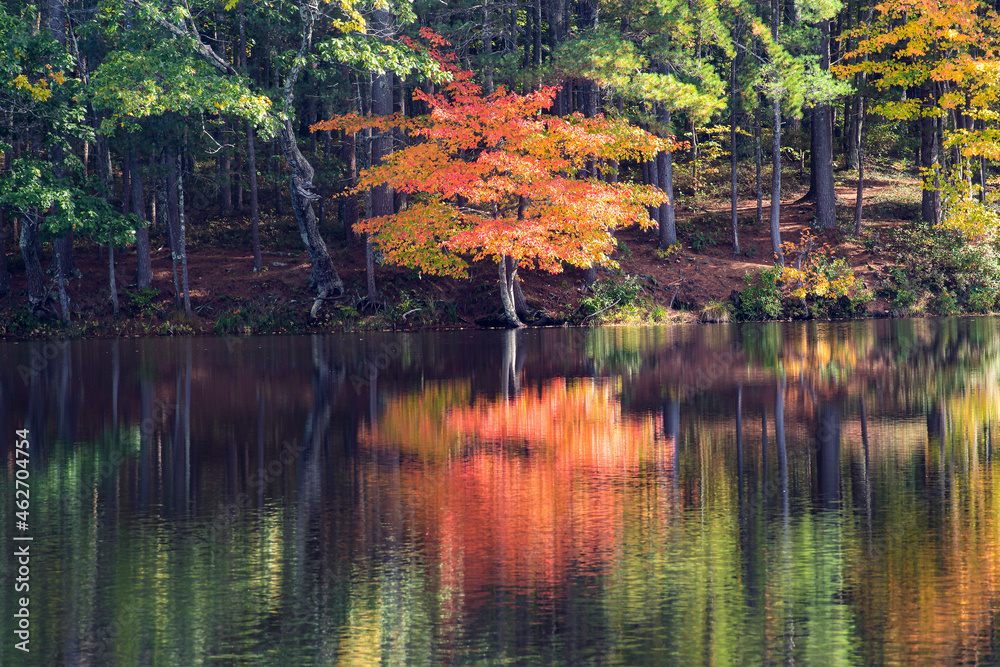 reflection  of  autumn on whitehall pond