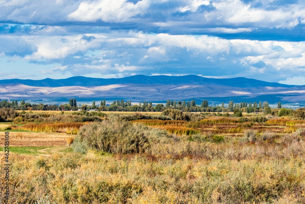 View of Toppenish National Wildlife Refuge in Eastern Washington