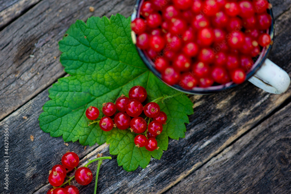 red garden currant berries are in a mug. High quality photo red garden currant berries are in a mug. High quality photo