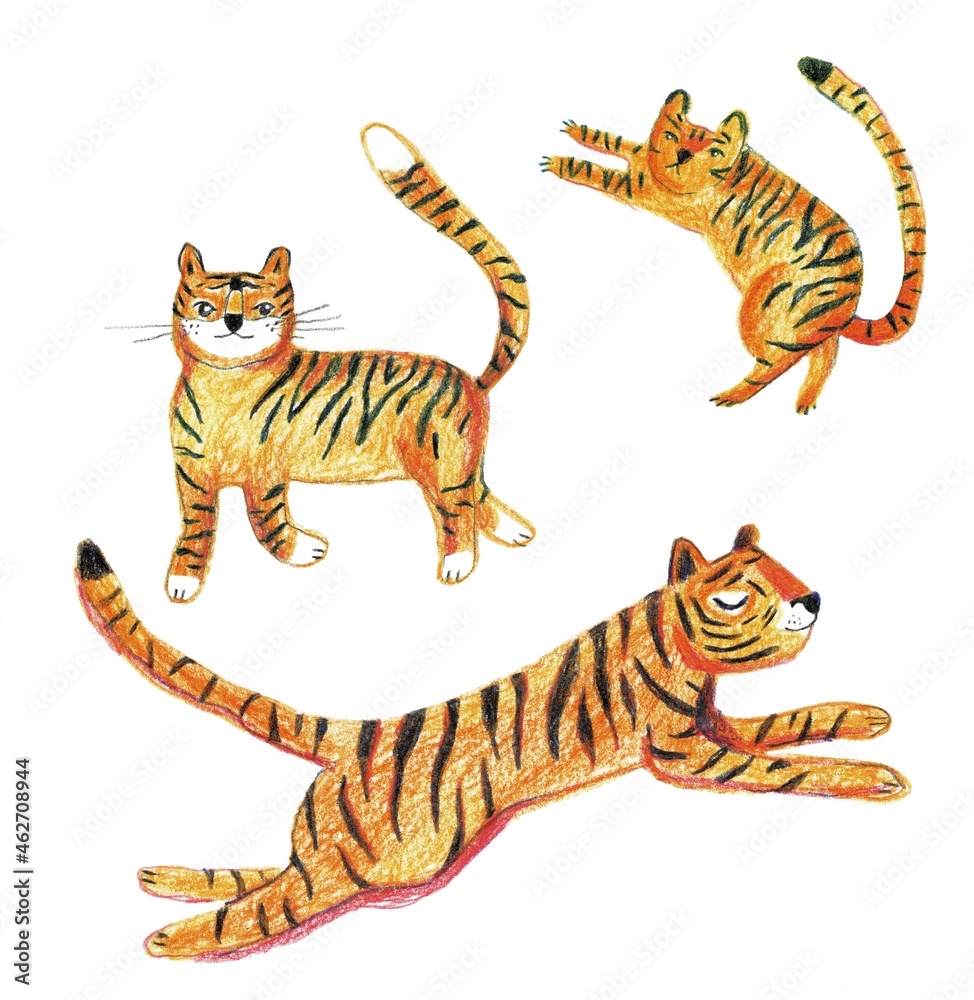 This is a cute baby tiger character in different poses isolated on a white background. Set of tigers.