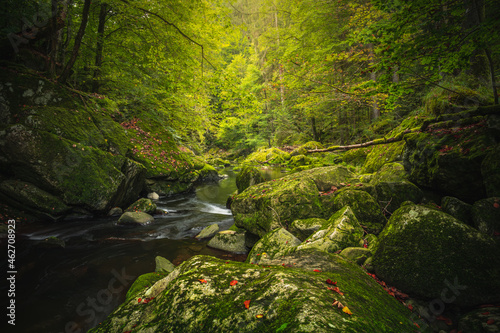 Beautiful natural landscape in Bavarian forest with greenery and River Wolfensteiner Ohe in Germany photo