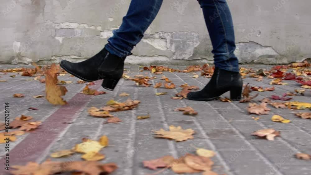 Close-up of female legs, they are dressed in blue jeans and black shoes, she walks along the road and kicks autumn leaves Close-up of female legs, they are dressed in blue jeans and black shoes, she walks along the road and kicks autumn leaves