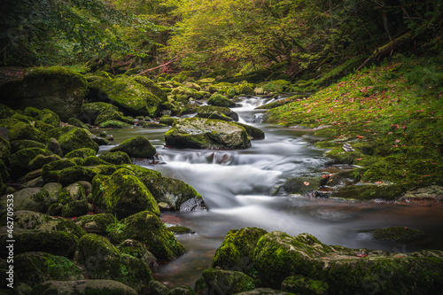 Beautiful natural landscape in Bavarian forest with greenery and River Wolfensteiner Ohe in Germany photo