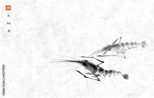Ink painting of two ocean shrimps on rice paper background. Traditional oriental ink painting sumi-e, u-sin, go-hua. Hieroglyphs - eternity, freedom, happiness, zen