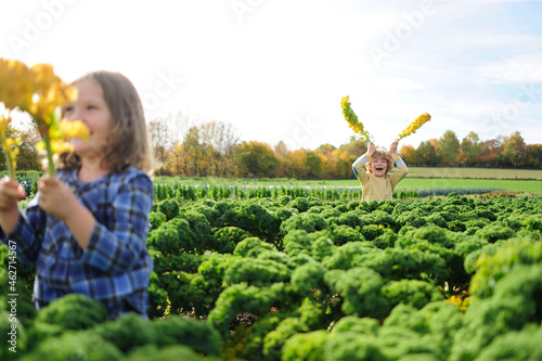 Girl and boy in a kali field, leaves as rabbit ears photo