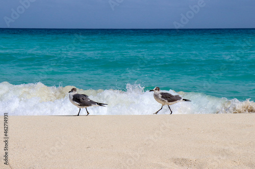 Cancun Beach
