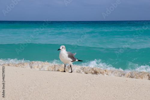 Cancun Beach