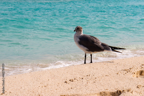 Cancun Beach