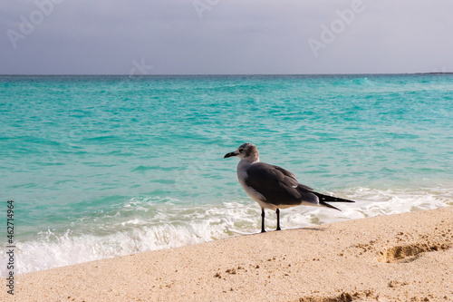 Cancun Beach