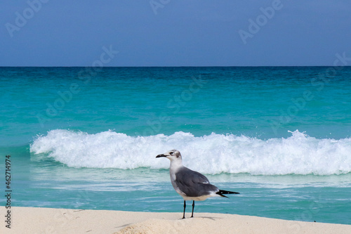 Cancun Beach