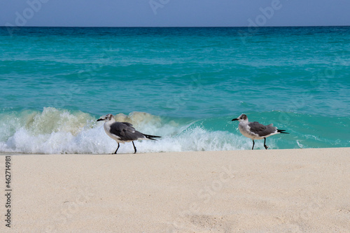 Cancun Beach