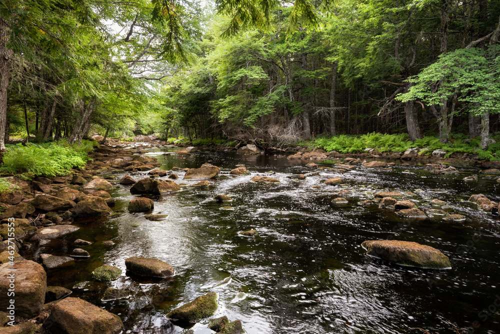 Canada, Annapolis County, Landscape with Mersey River Canada, Annapolis County, Landscape with Mersey River