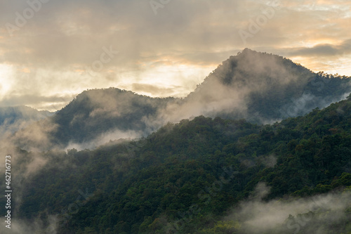 Mindo cloud forest at sunrise in fog and mist, Mindo, Ecuador.
