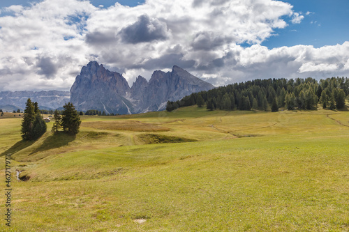 Alpe di Siusi with a view on the Sassalungo mountain at the Dolomites Italy