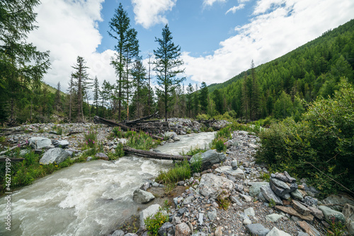 Beautiful scenery with log bridge across powerful mountain river among stones and boulders near forest mountains. Scenic mountain landscape with wooden bridge over turbulent river and coniferous trees