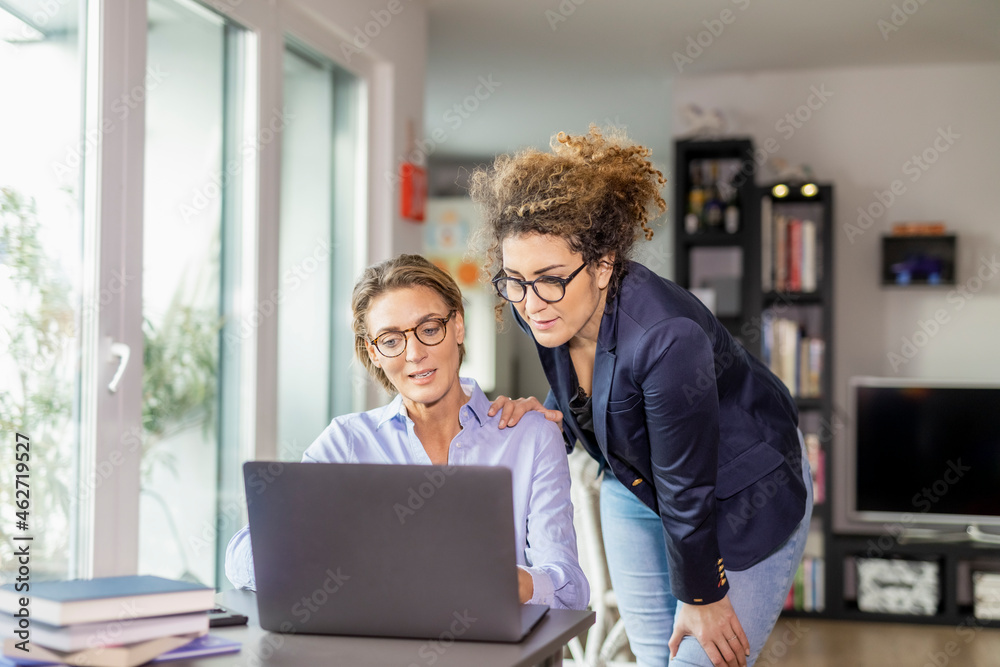 Two businesswomen with laptop on table at home Two businesswomen with laptop on table at home