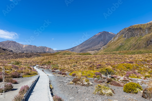 New Zealand,ÔøΩRuapehuÔøΩDistrict, Empty footpath toward MountÔøΩNgauruhoeÔøΩvolcano photo