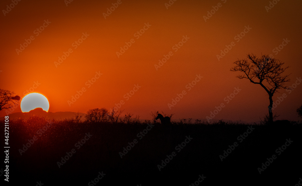 African sunset