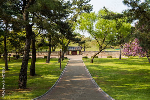 Daereungwon Tomb Complex, Gyeongju, South Korea photo