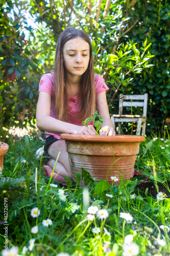 Portrait of girl potting tomato plant in a garden photo