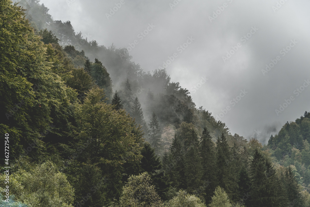 Plakat Stunning view of forest mountains lost in the fog on a gloomy day, horizontal wallpaper