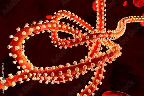 Three dimensional render of Ebola virus photo