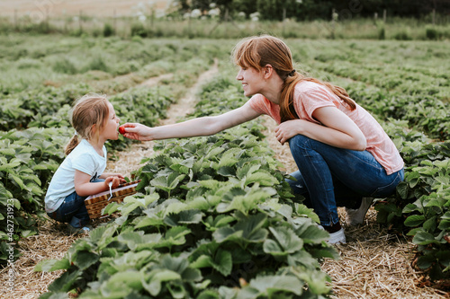 Mother giving her daughter a strawberry on field photo