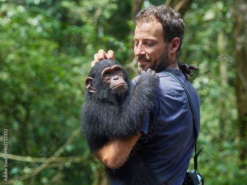 Cameroon, Pongo-Songo, Man carrying Chimpanzee (Pan troglodytes) in forest photo