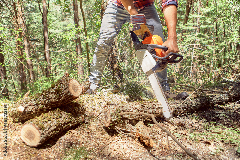 Lumberjack cutting branch with electric saw in forest Lumberjack cutting branch with electric saw in forest