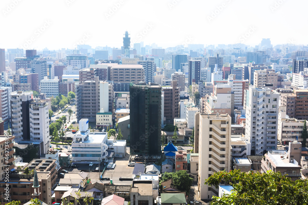 Obraz premium 城山から見る鹿児島市天文館方面