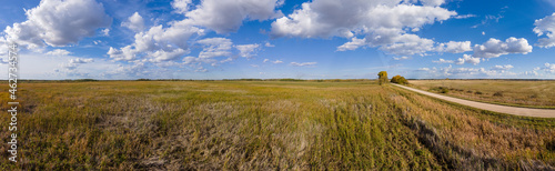 Autumn colored farm fields under a blue sky with white clouds and a dirt road along one side of the image. 