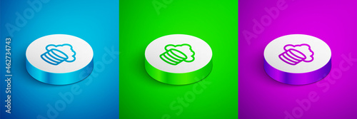 Isometric line Cloud database icon isolated on blue, green and purple background. Cloud computing concept. Digital service or app with data transferring. White circle button. Vector