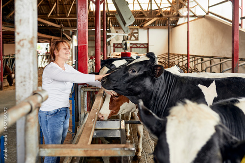 Smiling mid adult woman stroking cow while standing in barn