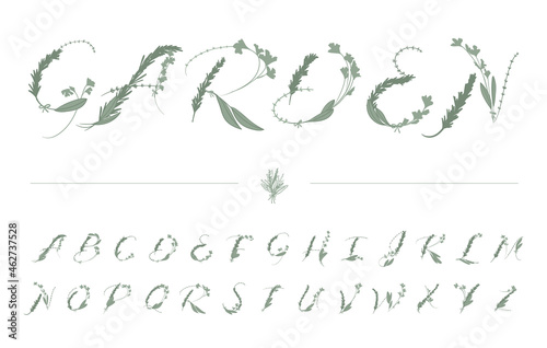 Vector font made of the herbs parsley, sage, rosemary, and thyme.