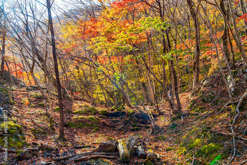 【栃木県】紅葉時期の龍王峡