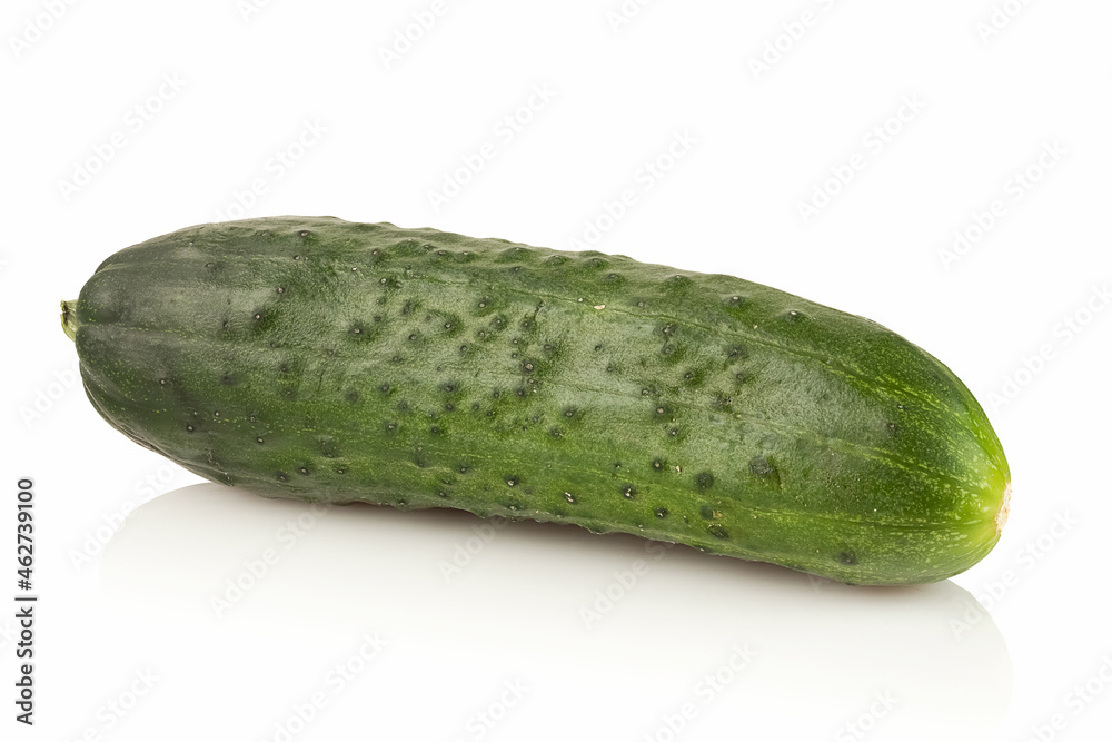 Cucumber close-up on a white background Cucumber close-up on a white background
