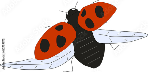 飛んでいくカワイイてんとう虫