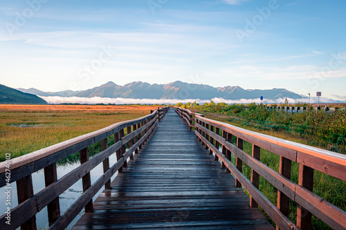 A wooden boardwalk in Potter Marsh Bird Sanctuary  Alaska